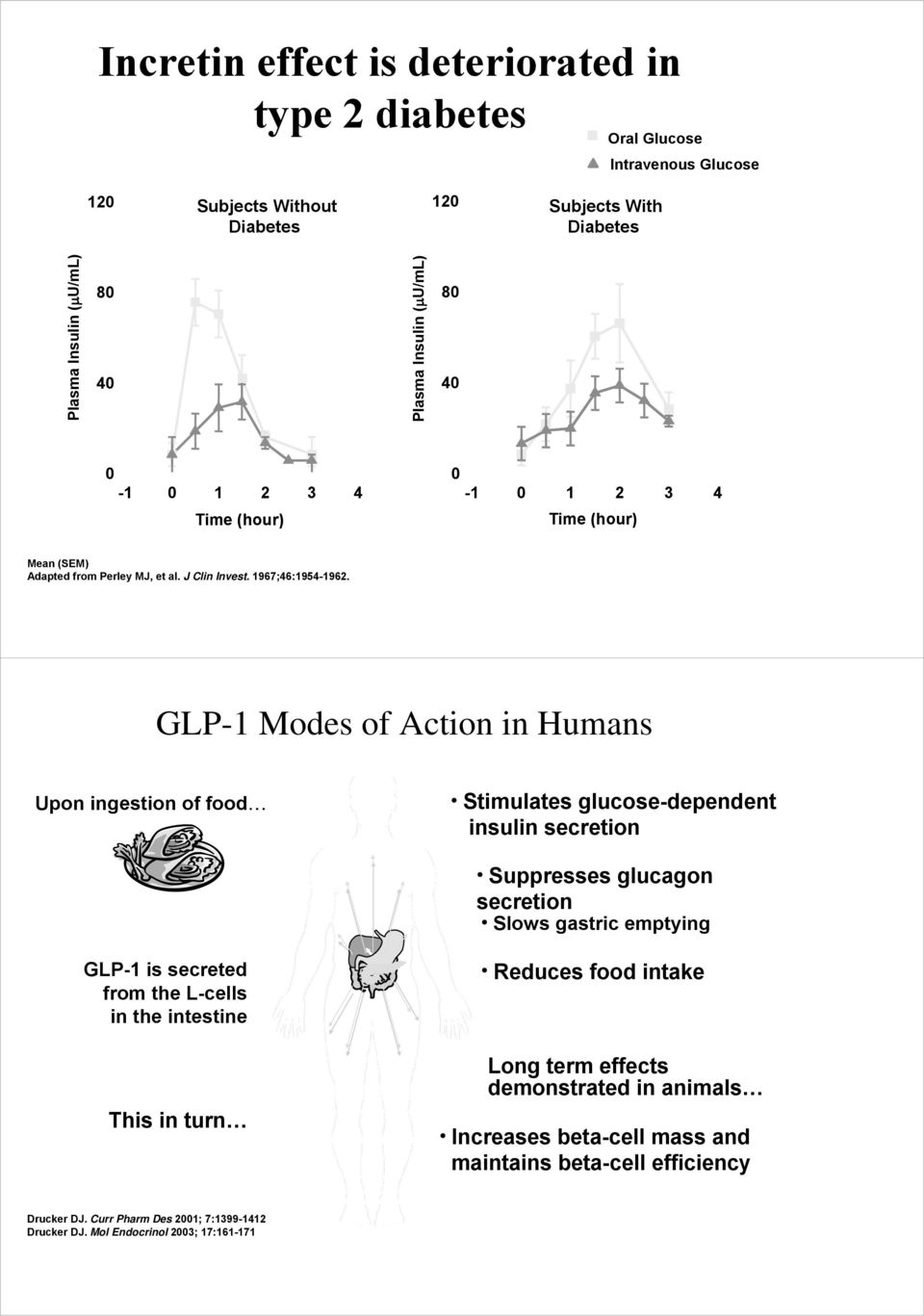 GLP-1 Modes of Action in Humans Upon ingestion of food Stimulates glucose-dependent insulin secretion Suppresses glucagon secretion Slows gastric emptying GLP-1 is secreted from the L-cells