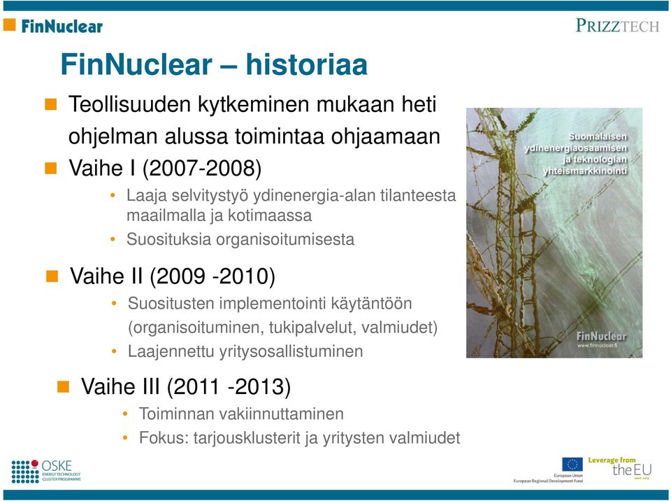 organisoitumisesta Vaihe II (2009-2010) Suositusten implementointi käytäntöön (organisoituminen, tukipalvelut,