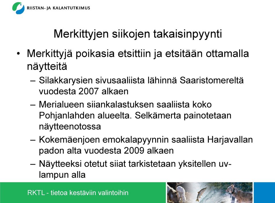 saaliista koko Pohjanlahden alueelta.