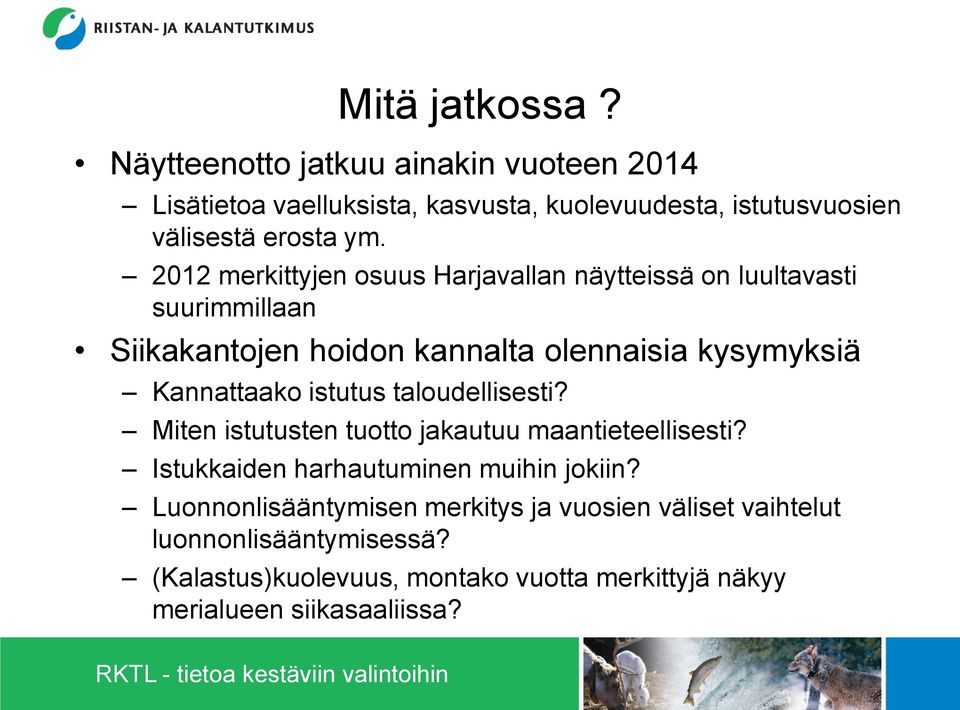 istutus taloudellisesti? Miten istutusten tuotto jakautuu maantieteellisesti? Istukkaiden harhautuminen muihin jokiin?