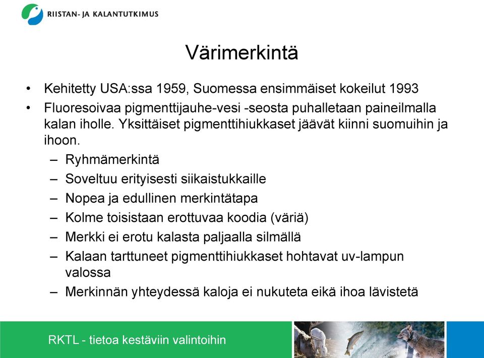 Ryhmämerkintä Soveltuu erityisesti siikaistukkaille Nopea ja edullinen merkintätapa Kolme toisistaan erottuvaa koodia (väriä)
