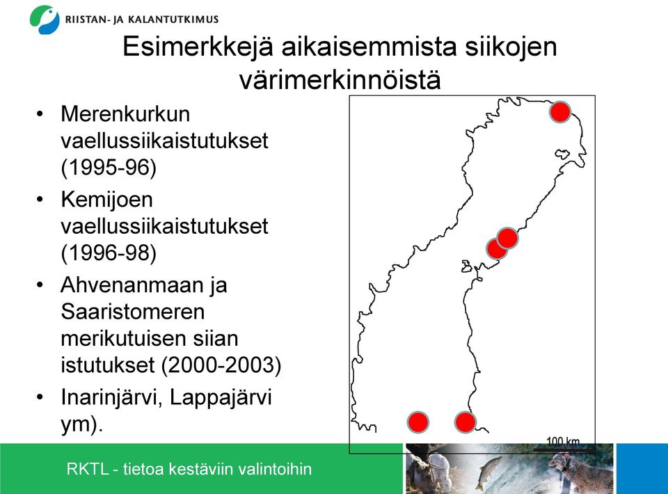 vaellussiikaistutukset (1996-98) Ahvenanmaan ja