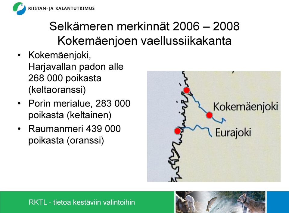 alle 268 000 poikasta (keltaoranssi) Porin merialue,