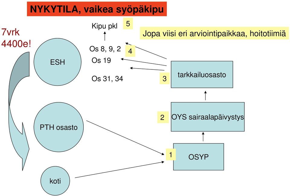 eri arviointipaikkaa, hoitotiimiä Os 31, 34 3