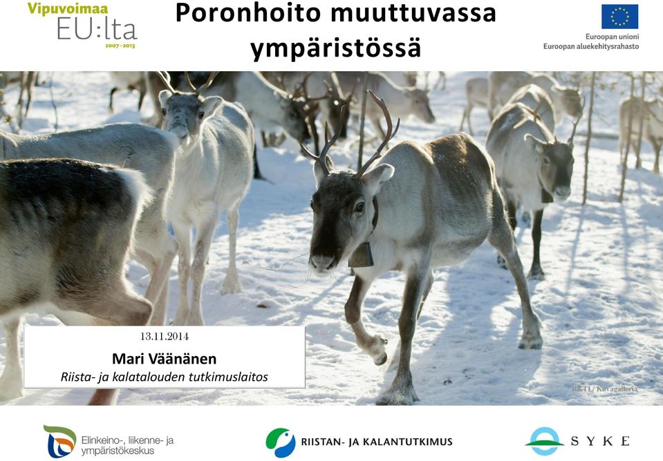 2014 Mari Väänänen Riista- ja