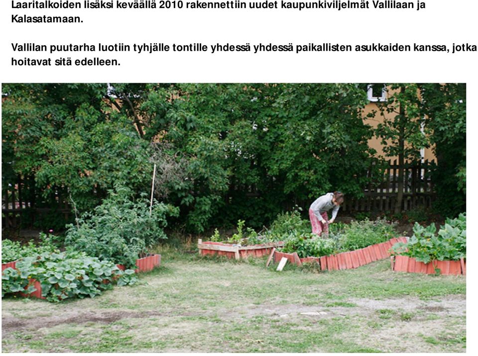 Vallilan puutarha luotiin tyhjälle tontille yhdessä