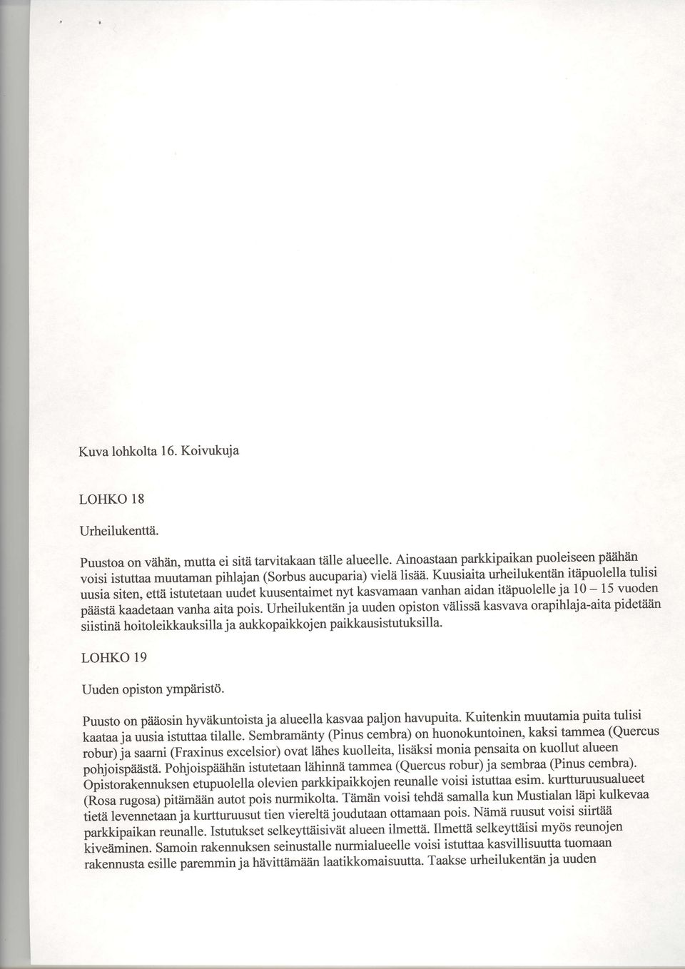 Kuusiaita urheilukentiin itiipuolella tulisi uusia siten, ettii istutetaan uudet kuusentaimet ny kasvamaan vanhan aidan itiipuolelle ja 10-15 vuoden piiiistii kaadetaan vanha aita pois.