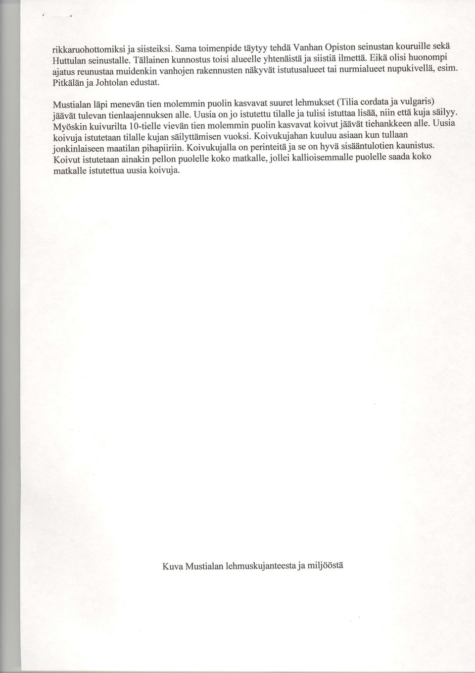 Mustialan lapi meneviin tien molemmin puolin kasvavat suuret lehmukset (Tilia cordata ja vulgaris) jiiiiviit tulevan tienlaajennuksen alle. Uusia on jo istutettu tilalle ja tulisi istuttaa lis?