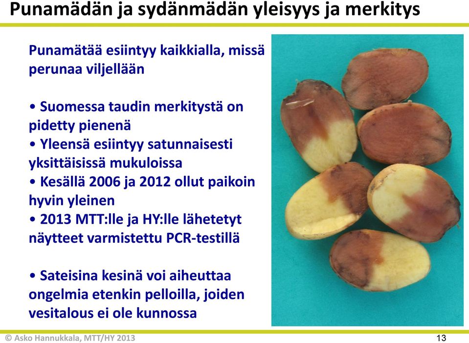 Kesällä 2006 ja 2012 ollut paikoin hyvin yleinen 2013 MTT:lle ja HY:lle lähetetyt näytteet varmistettu