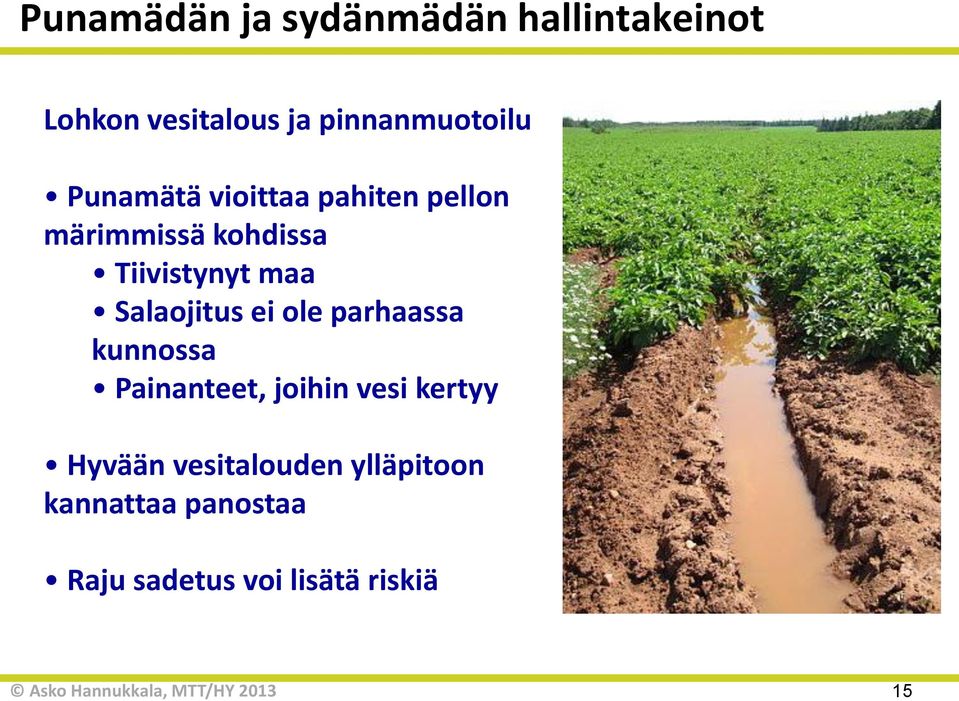 Tiivistynyt maa Salaojitus ei ole parhaassa kunnossa Painanteet, joihin