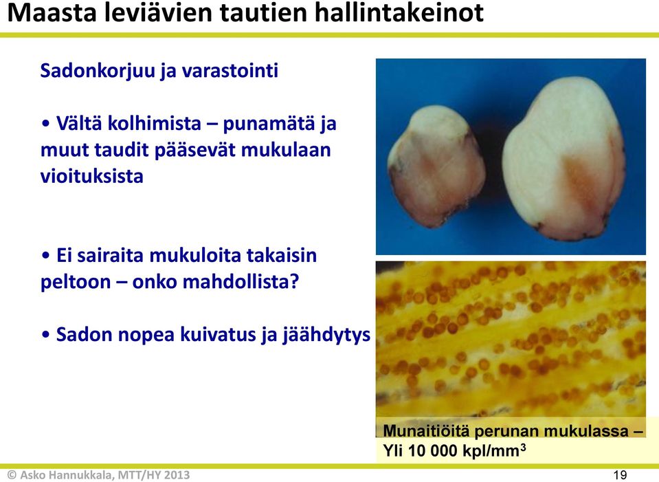 vioituksista Ei sairaita mukuloita takaisin peltoon onko mahdollista?