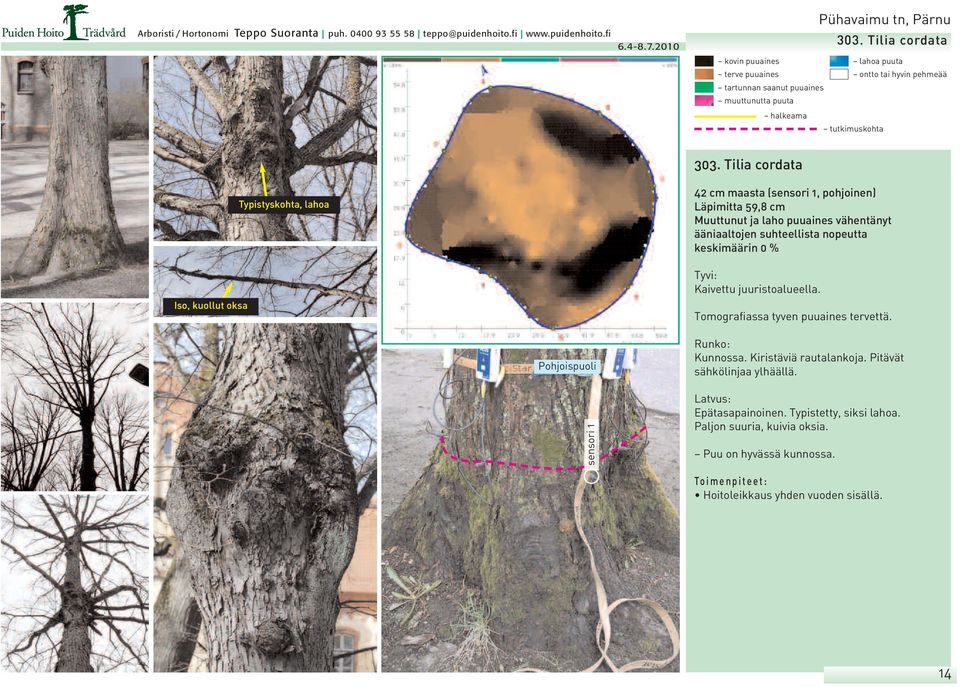 cm keskimäärin 0 % Kaivettu juuristoalueella. Tomografiassa tyven puuaines tervettä.