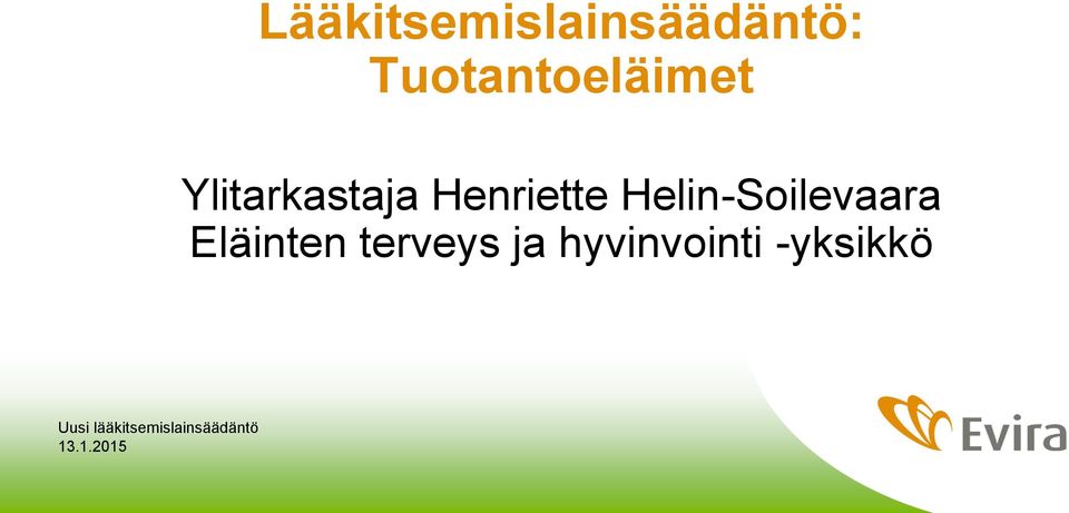 Henriette Helin-Soilevaara