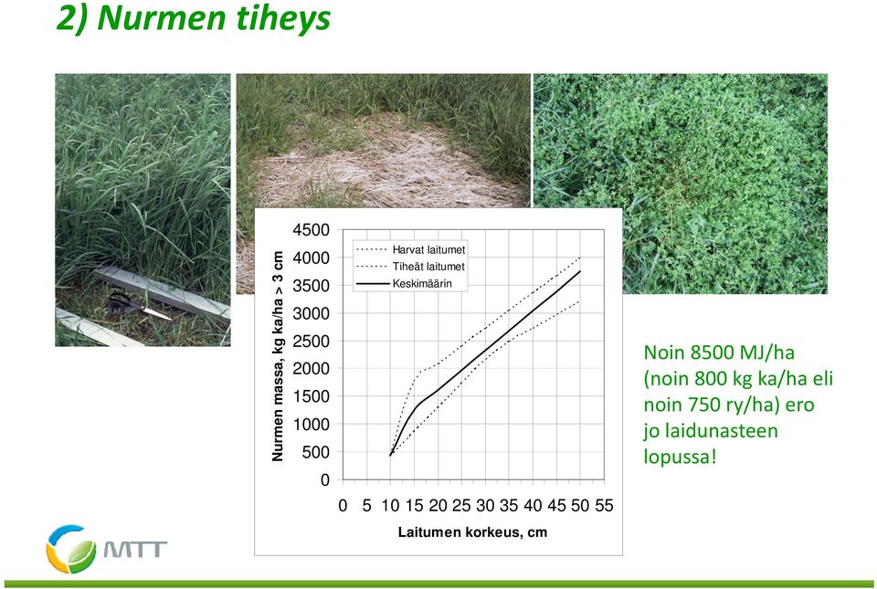 25 3 35 4 45 5 55 Noin 85 MJ/ha (noin 8 kg ka/ha eli noin 75
