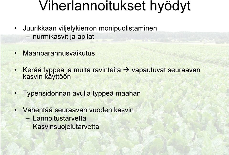 ravinteita vapautuvat seuraavan kasvin käyttöön Typensidonnan avulla