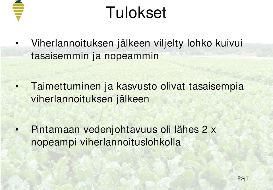 olivat tasaisempia viherlannoituksen jälkeen Pintamaan