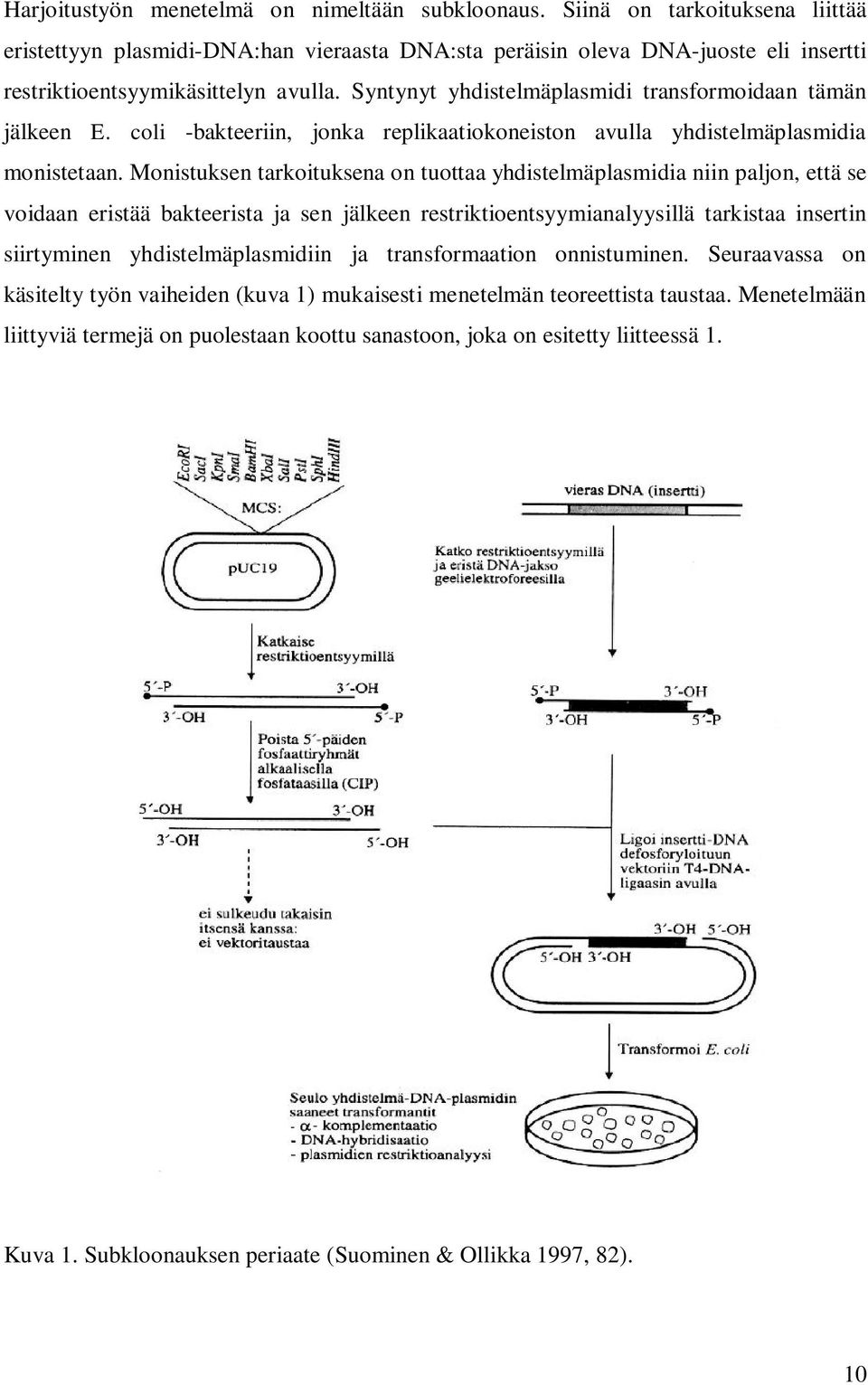 Syntynyt yhdistelmäplasmidi transformoidaan tämän jälkeen E. coli -bakteeriin, jonka replikaatiokoneiston avulla yhdistelmäplasmidia monistetaan.