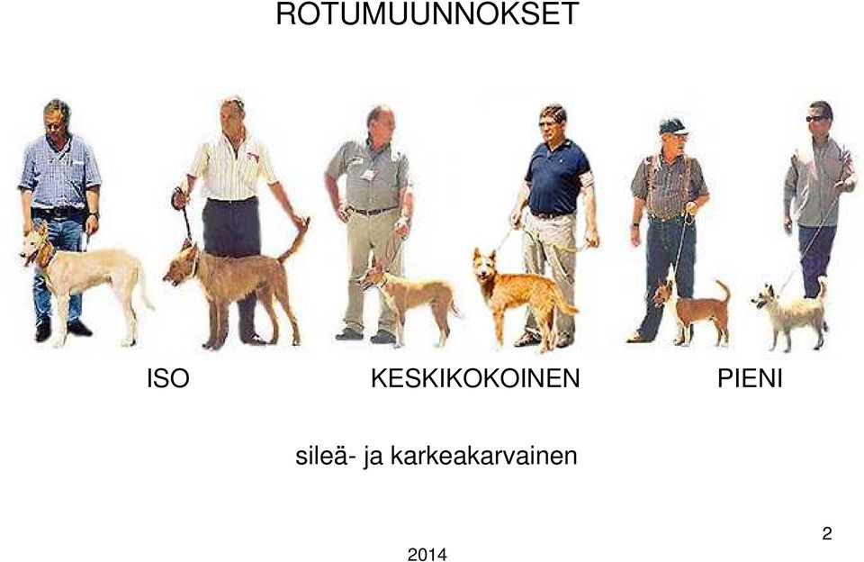 KESKIKOKOINEN