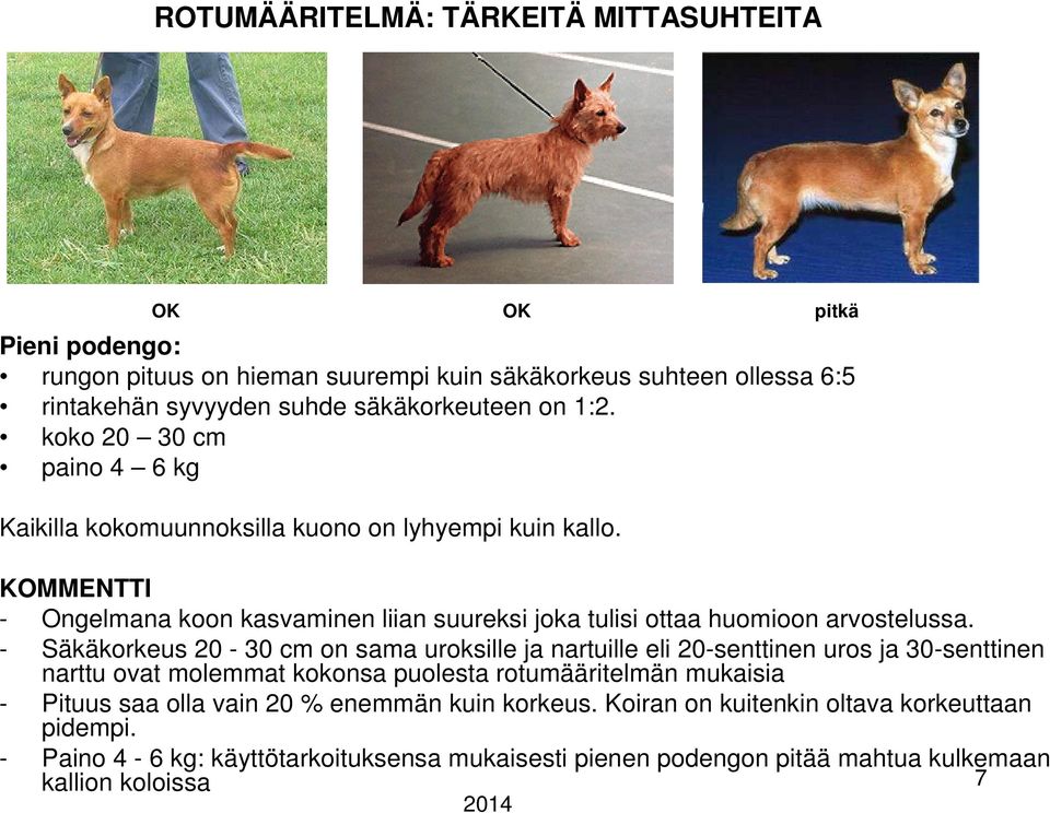 KOMMENTTI - Ongelmana koon kasvaminen liian suureksi joka tulisi ottaa huomioon arvostelussa.