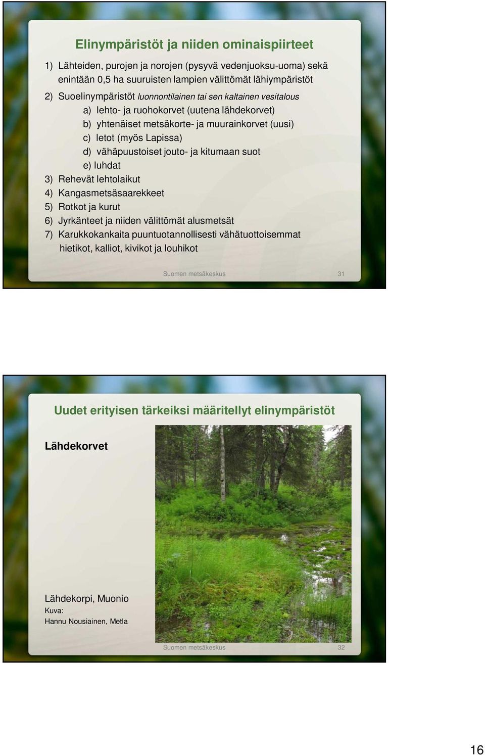 kitumaan suot e) luhdat 3) Rehevät lehtolaikut 4) Kangasmetsäsaarekkeet 5) Rotkot ja kurut 6) Jyrkänteet ja niiden välittömät alusmetsät 7) Karukkokankaita puuntuotannollisesti