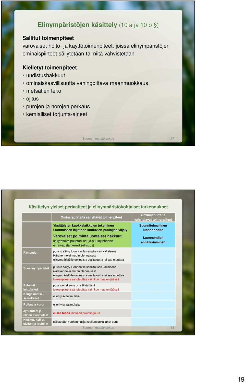 periaatteet ja elinympäristökohtaiset tarkennukset Pienvedet Suoelinympäristöt Rehevät lehtolaikut Kangasmetsäsaarekkeet Rotkot ja kurut Ominaispiirteitä säilyttävät toimenpiteet Yksittäisten