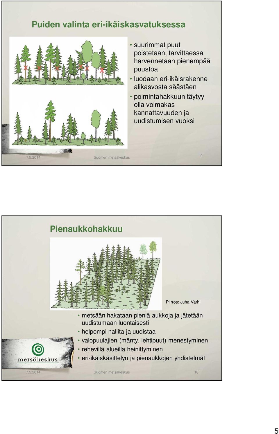 2014 Suomen metsäkeskus 9 Pienaukkohakkuu Piirros: Juha Varhi metsään hakataan pieniä aukkoja ja jätetään uudistumaan luontaisesti