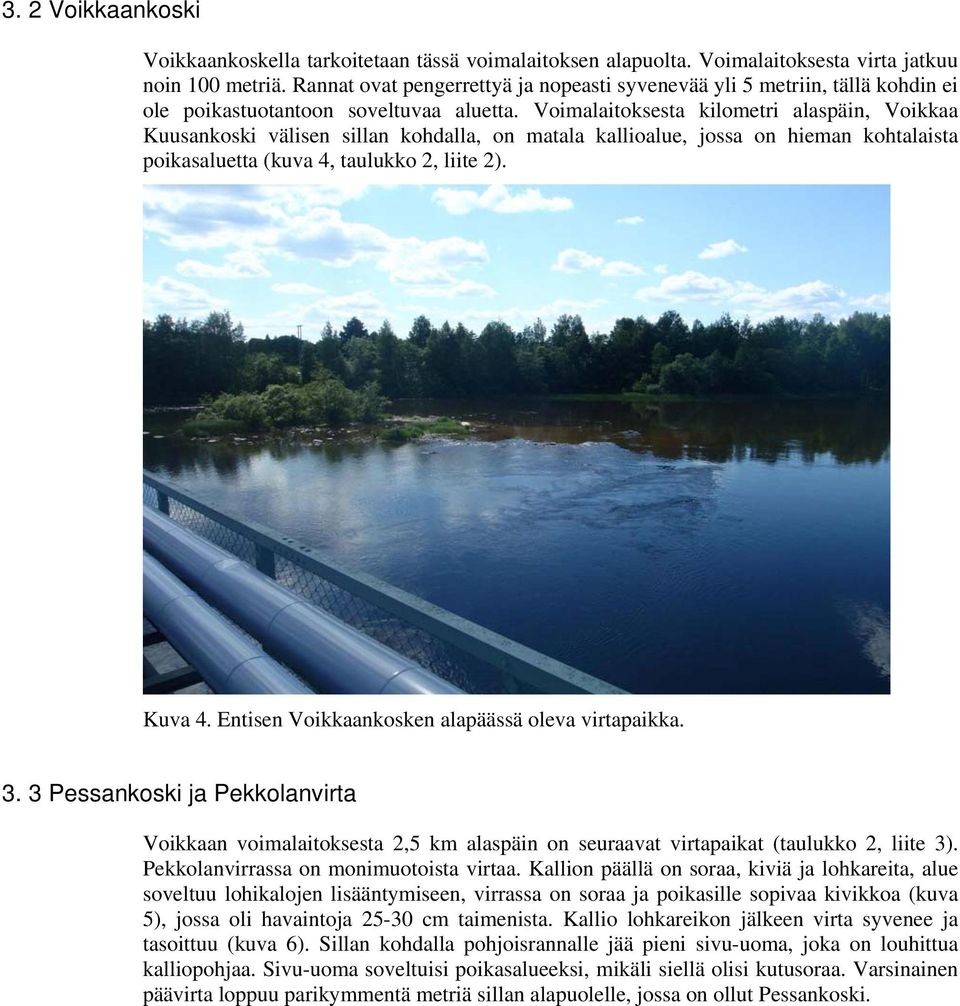 Voimalaitoksesta kilometri alaspäin, Voikkaa Kuusankoski välisen sillan kohdalla, on matala kallioalue, jossa on hieman kohtalaista poikasaluetta (kuva 4, taulukko 2, liite 2). Kuva 4.