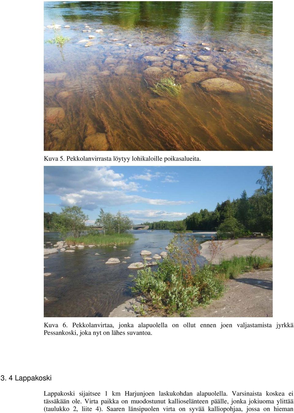 3. 4 Lappakoski Lappakoski sijaitsee 1 km Harjunjoen laskukohdan alapuolella. Varsinaista koskea ei tässäkään ole.