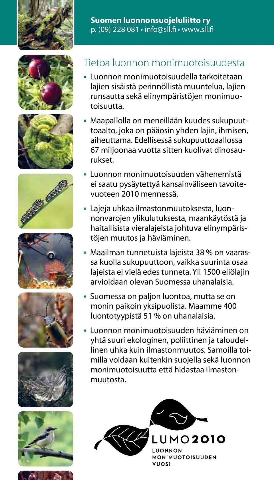 Maapallolla on meneillään kuudes sukupuuttoaalto, joka on pääosin yhden lajin, ihmisen, aiheuttama. Edellisessä sukupuuttoaallossa 67 miljoonaa vuotta sitten kuolivat dinosaurukset.