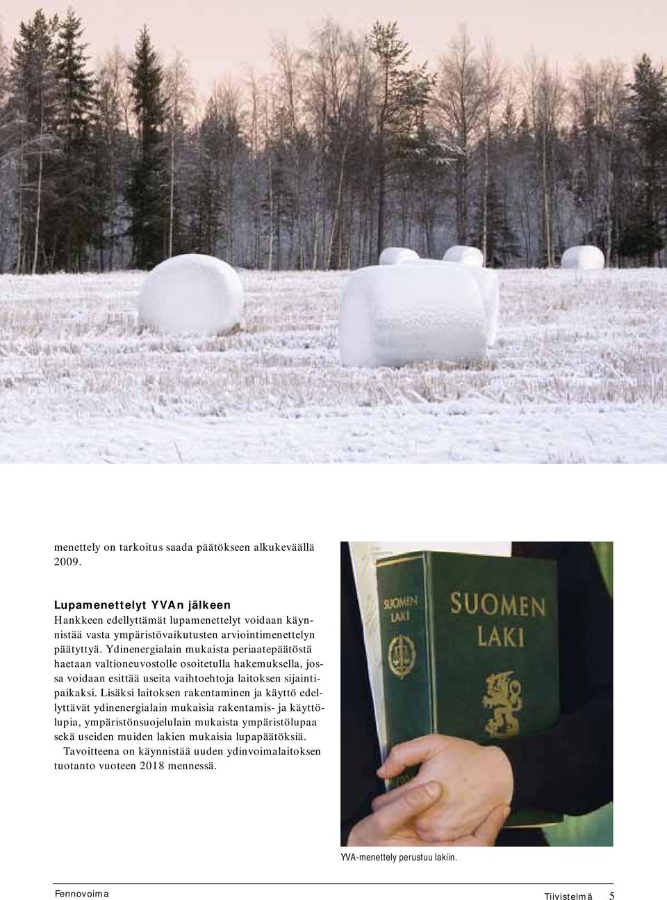 Ydinenergialain mukaista periaatepäätöstä haetaan valtioneuvostolle osoitetulla hakemuksella, jossa voidaan esittää useita vaihtoehtoja laitoksen sijaintipaikaksi.
