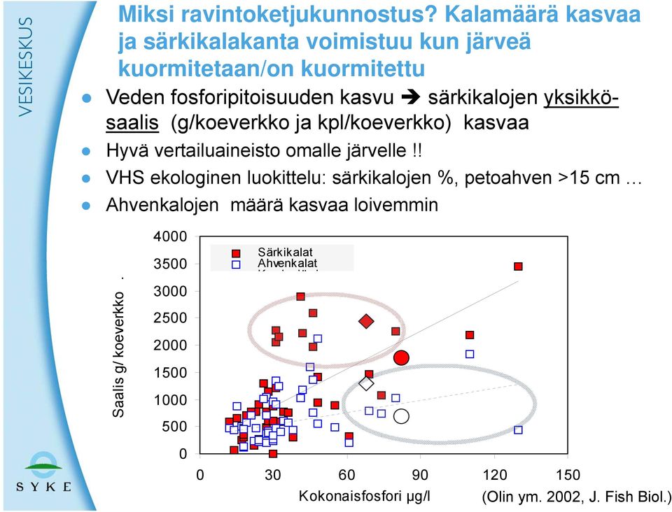 särkikalojen yksikkösaalis (g/koeverkko ja kpl/koeverkko) kasvaa Hyvä vertailuaineisto omalle järvelle!