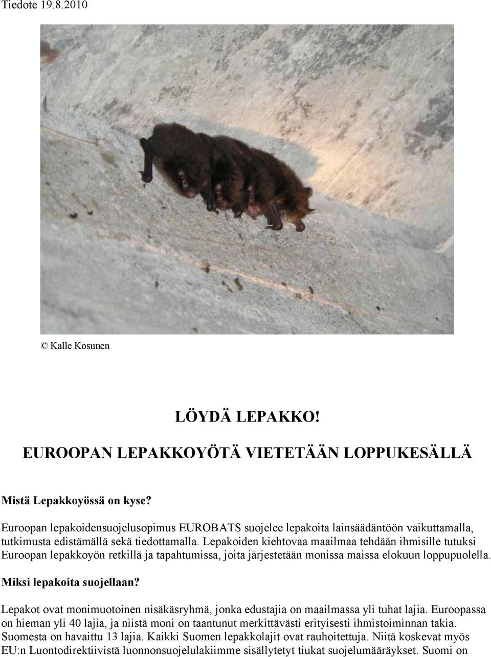 Lepakoiden kiehtovaa maailmaa tehdään ihmisille tutuksi Euroopan lepakkoyön retkillä ja tapahtumissa, joita järjestetään monissa maissa elokuun loppupuolella. Miksi lepakoita suojellaan?