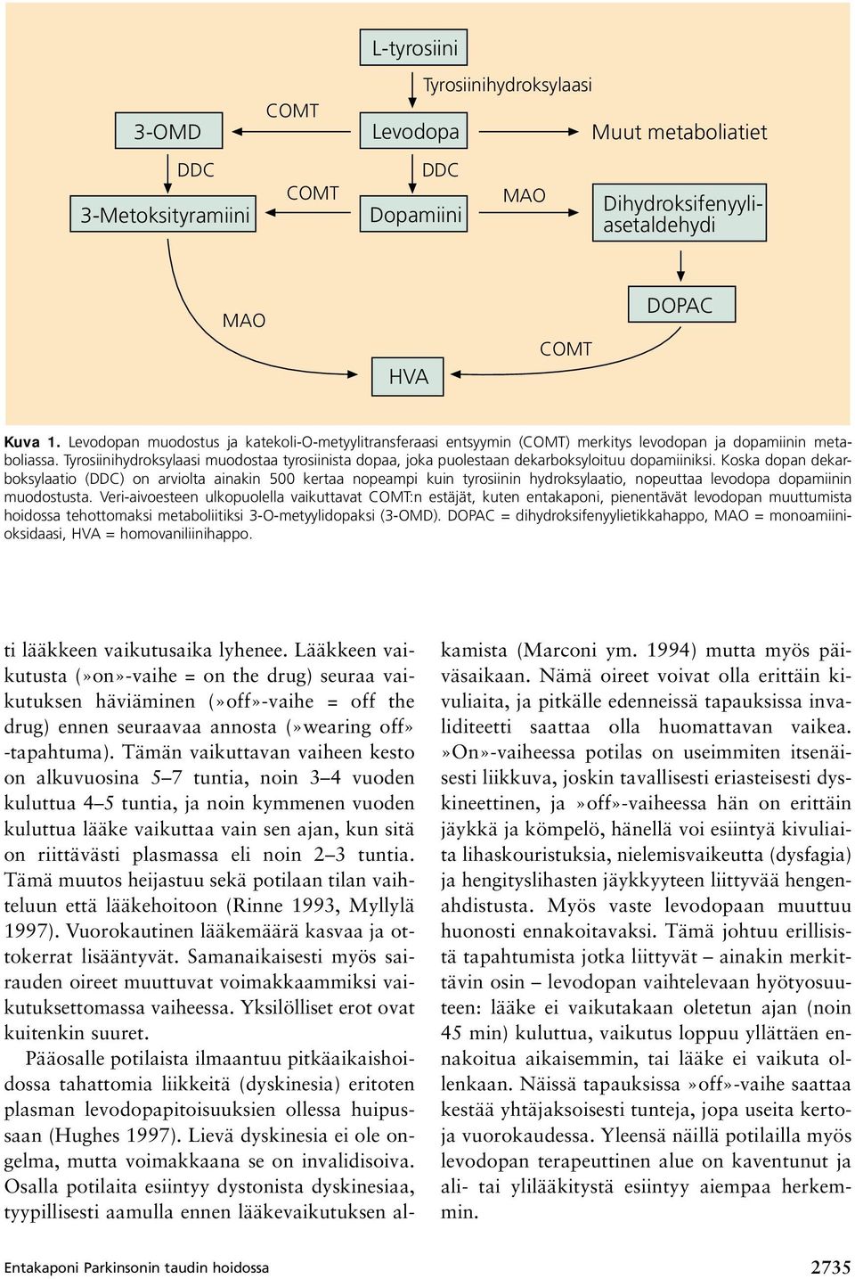 Tyrosiinihydroksylaasi muodostaa tyrosiinista dopaa, joka puolestaan dekarboksyloituu dopamiiniksi.