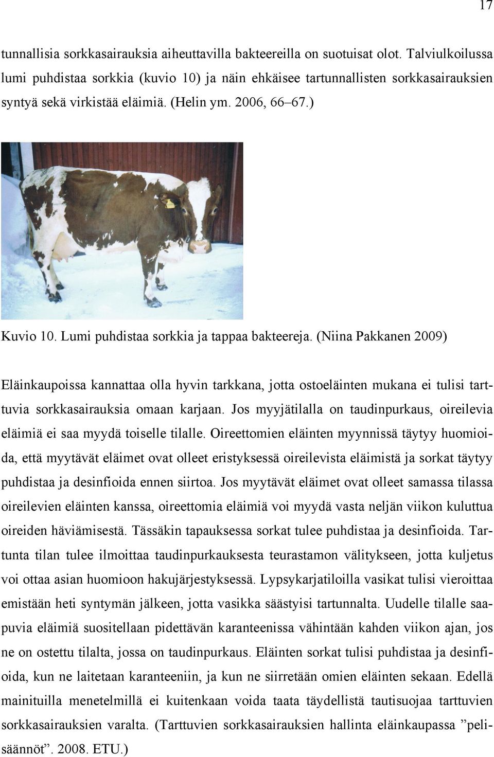 Lumi puhdistaa sorkkia ja tappaa bakteereja. (Niina Pakkanen 2009) Eläinkaupoissa kannattaa olla hyvin tarkkana, jotta ostoeläinten mukana ei tulisi tarttuvia sorkkasairauksia omaan karjaan.