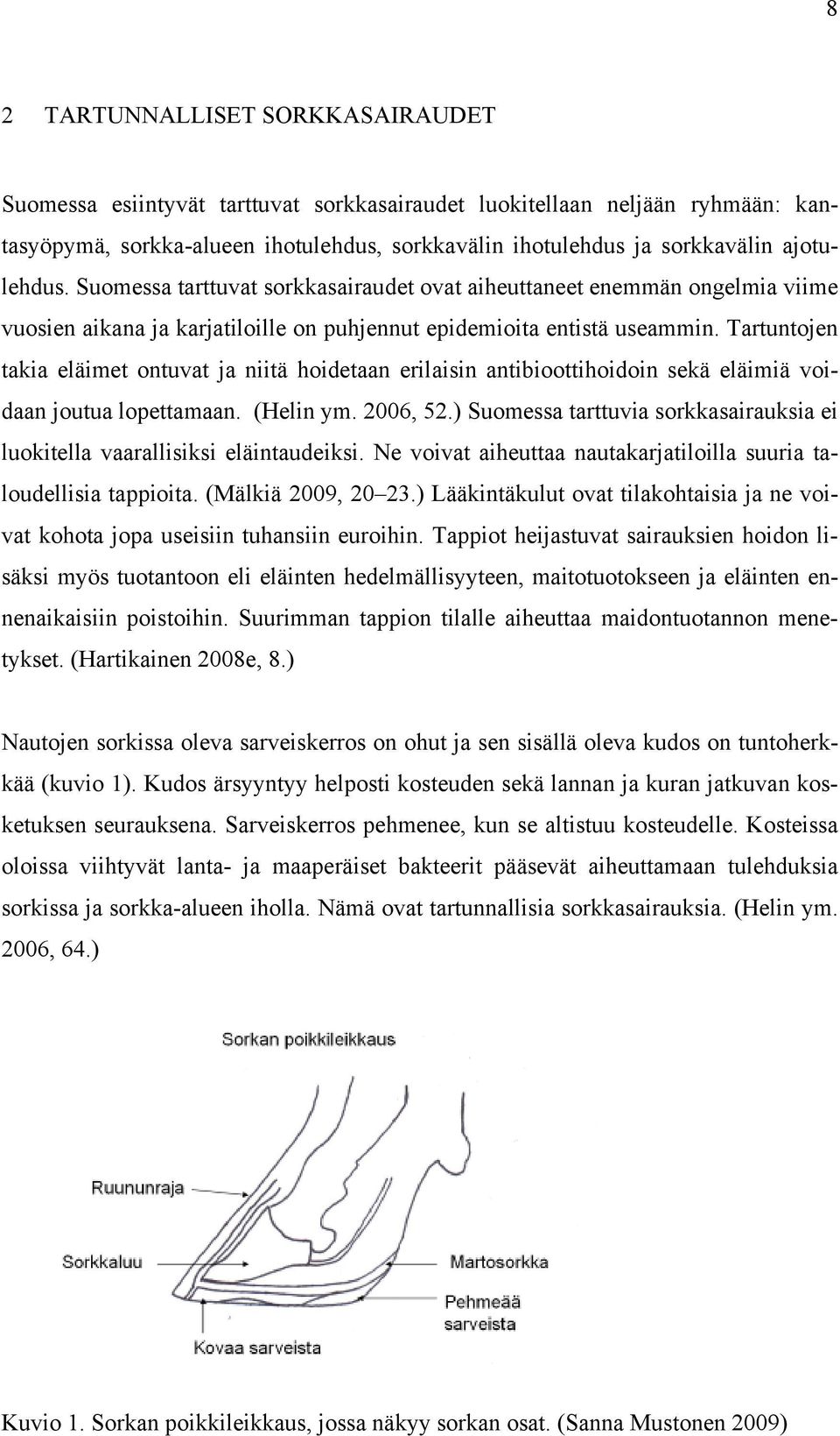 Tartuntojen takia eläimet ontuvat ja niitä hoidetaan erilaisin antibioottihoidoin sekä eläimiä voidaan joutua lopettamaan. (Helin ym. 2006, 52.