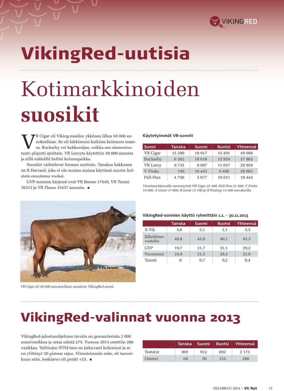 Tanskan kakkonen on R Harvard, joka ei ole muissa maissa käytössä suuren holstein-osuutensa vuoksi. GVP-sonnien kärjessä ovat VR Borsse 17449, VR Tuomi 16313 ja VR Flame 15437 annosta.