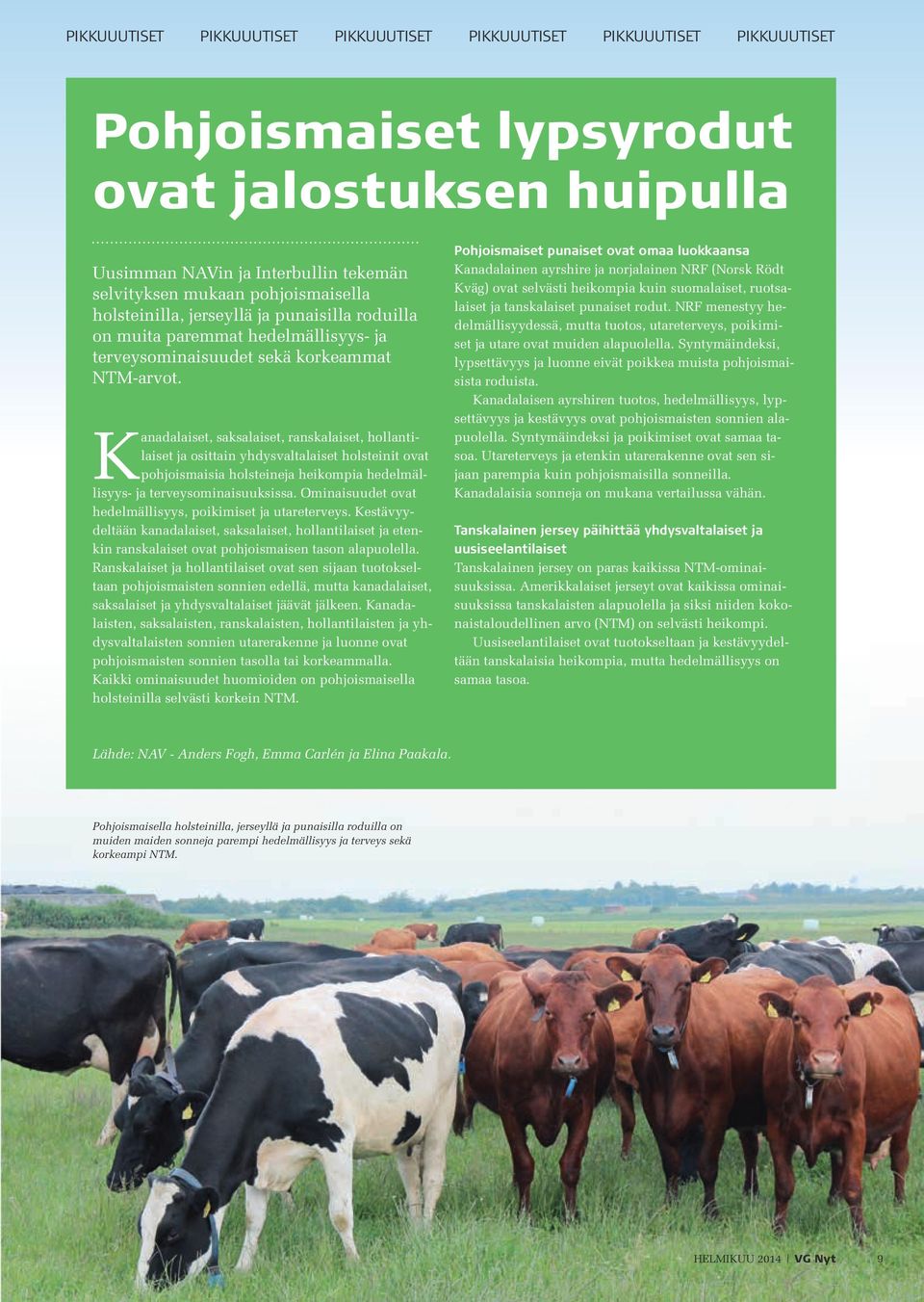 Kanadalaiset, saksalaiset, ranskalaiset, hollantilaiset ja osittain yhdysvaltalaiset holsteinit ovat pohjoismaisia holsteineja heikompia hedelmällisyys- ja terveysominaisuuksissa.