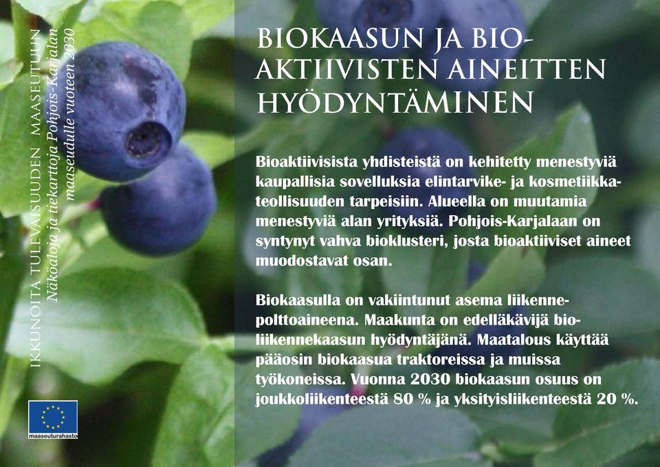Pohjois-Karjalaan on syntynyt vahva bioklusteri, josta bioaktiiviset aineet muodostavat osan. Biokaasulla on vakiintunut asema liikennepolttoaineena.