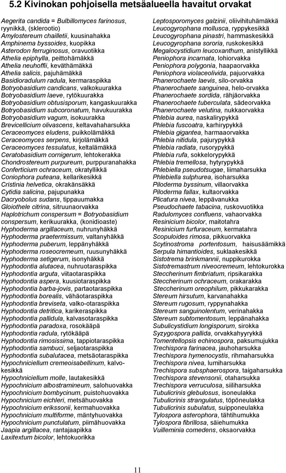 valkokuurakka Botryobasidium laeve, rytökuurakka Botryobasidium obtusisporum, kangaskuurakka Botryobasidium subcoronatum, havukuurakka Botryobasidium vagum, isokuurakka Brevicellicium olivascens,