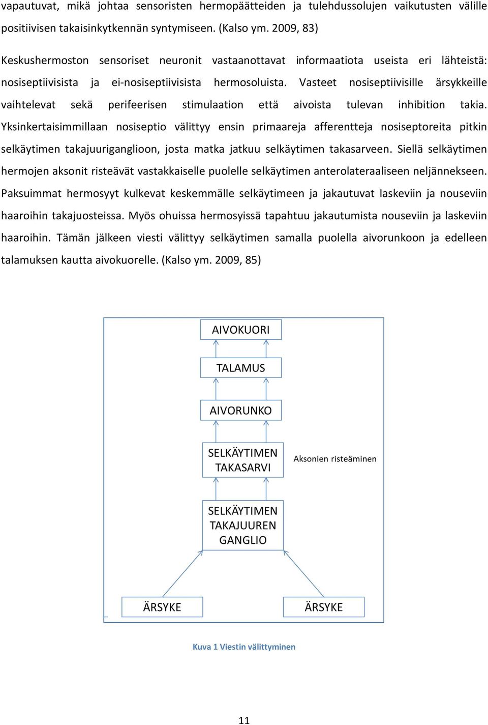 Vasteet nosiseptiivisille ärsykkeille vaihtelevat sekä perifeerisen stimulaation että aivoista tulevan inhibition takia.