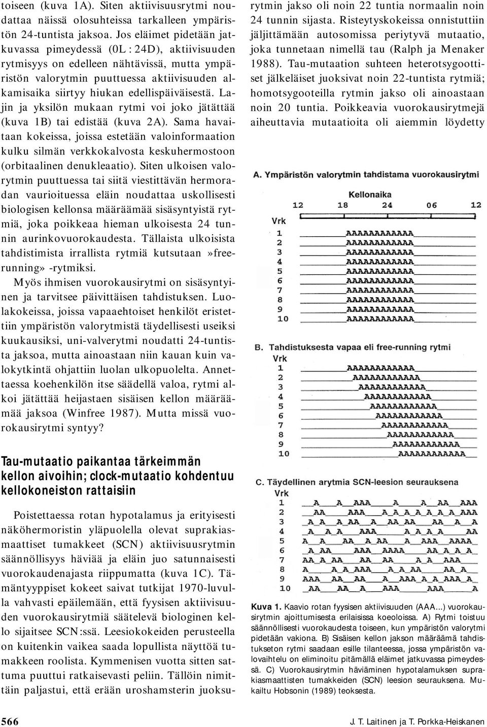 edellispäiväisestä. Lajin ja yksilön mukaan rytmi voi joko jätättää (kuva 1B) tai edistää (kuva 2A).