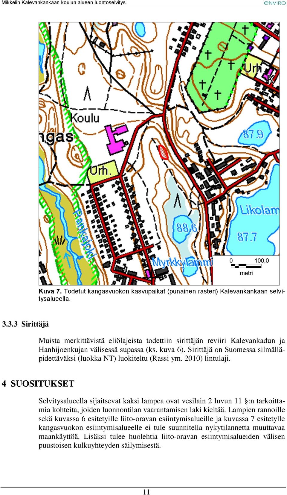 Sirittäjä on Suomessa silmälläpidettäväksi (luokka NT) luokiteltu (Rassi ym. 2010) lintulaji.