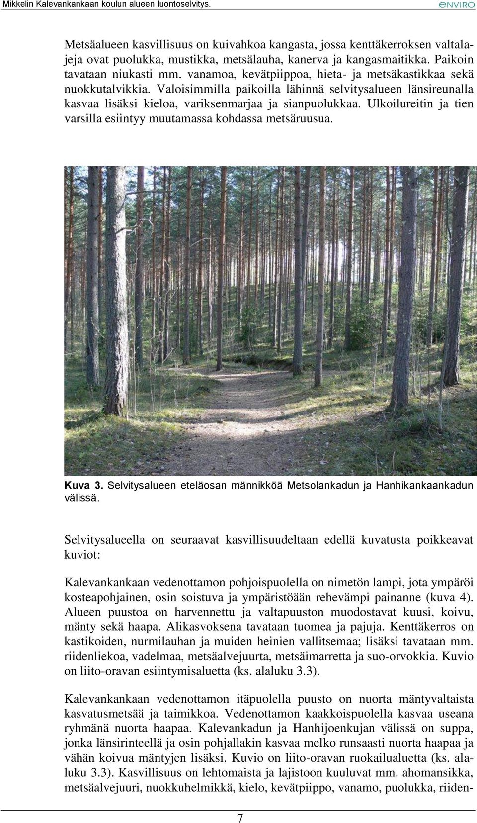 Ulkoilureitin ja tien varsilla esiintyy muutamassa kohdassa metsäruusua. Kuva 3. Selvitysalueen eteläosan männikköä Metsolankadun ja Hanhikankaankadun välissä.