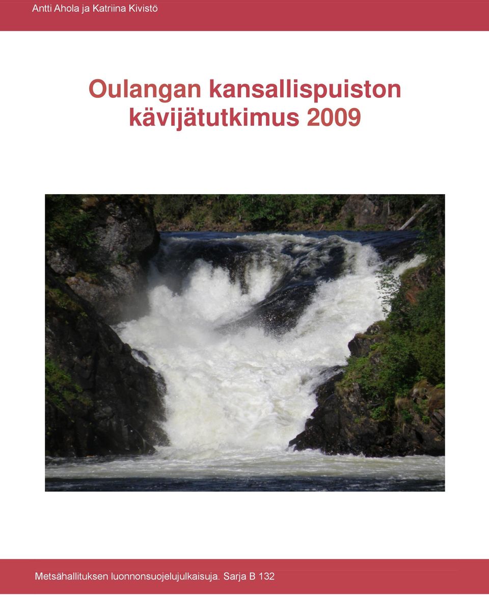 kävijätutkimus 2009