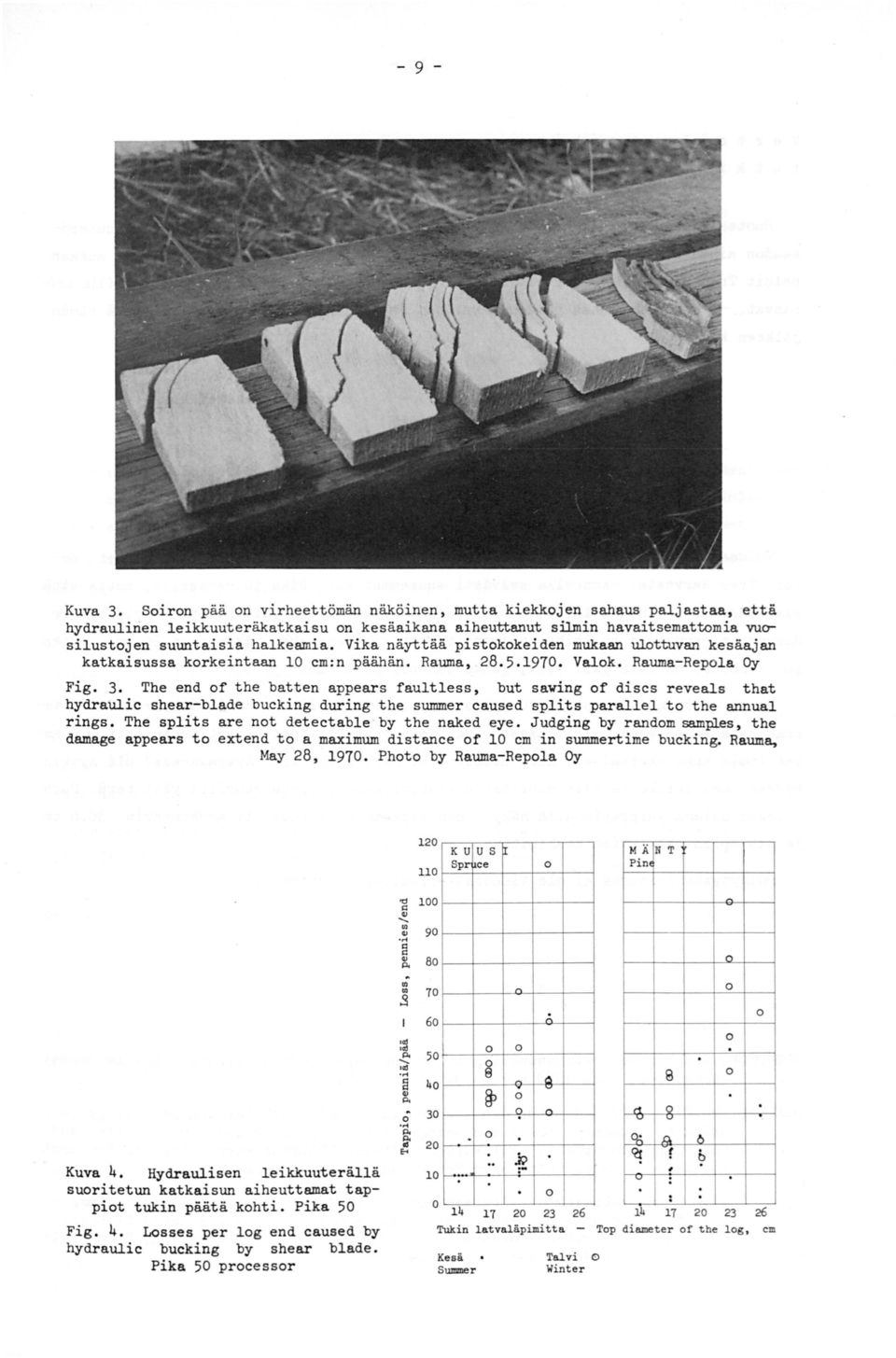 Vika näyttää pistokokeiden mukaan ulottuvan kesäajan katkaisussa korkeintaan 1 cm :n päähän. Rauma, 28. 5.197. Valok. Rauma-Repola Oy Fig. 3.