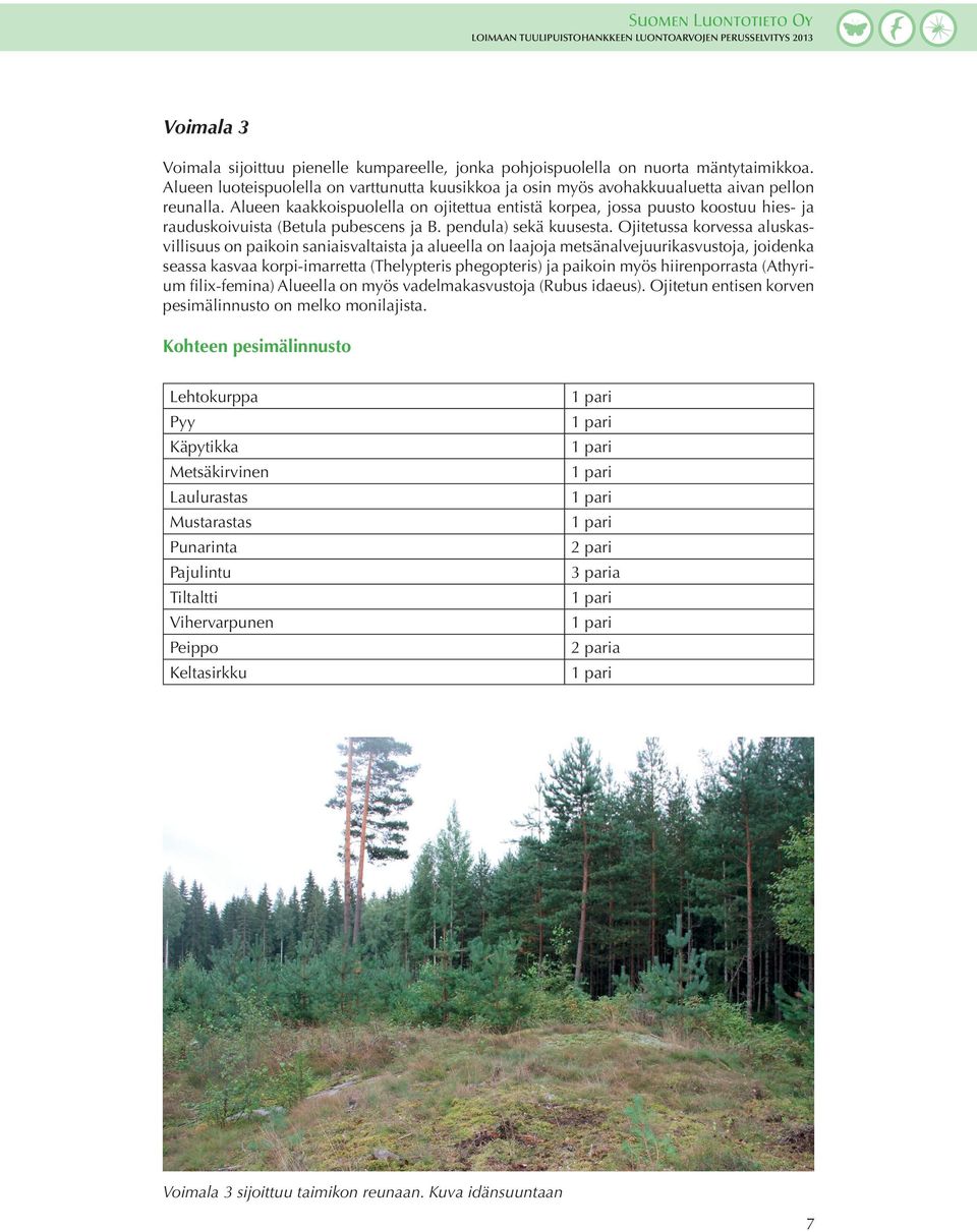 Ojitetussa korvessa aluskasvillisuus on paikoin saniaisvaltaista ja alueella on laajoja metsänalvejuurikasvustoja, joidenka seassa kasvaa korpi-imarretta (Thelypteris phegopteris) ja paikoin myös