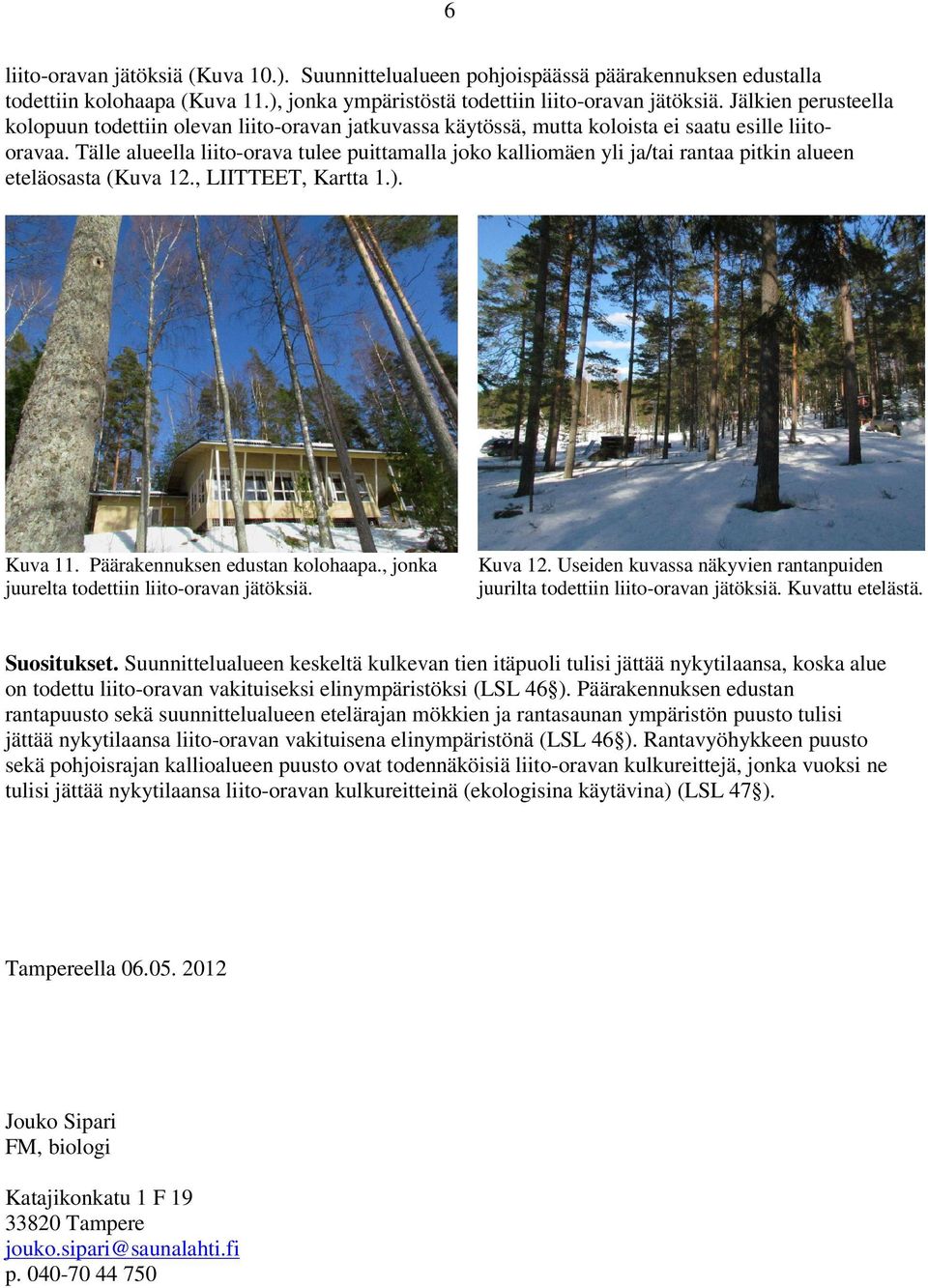 Tälle alueella liito-orava tulee puittamalla joko kalliomäen yli ja/tai rantaa pitkin alueen eteläosasta (Kuva 12., LIITTEET, Kartta 1.). Kuva 11. Päärakennuksen edustan kolohaapa.