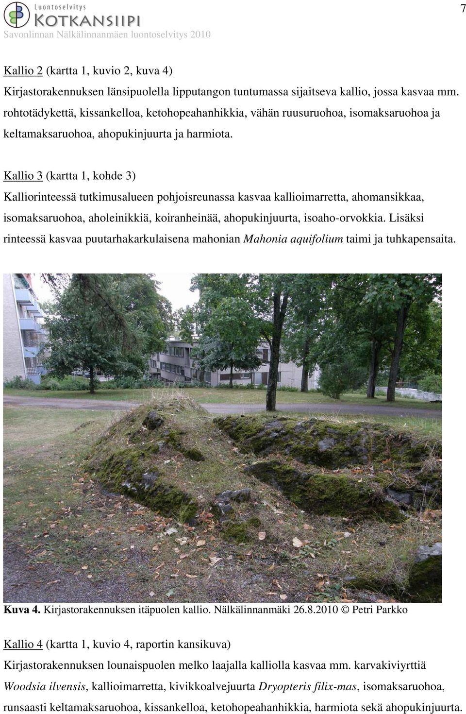 Kallio 3 (kartta 1, kohde 3) Kalliorinteessä tutkimusalueen pohjoisreunassa kasvaa kallioimarretta, ahomansikkaa, isomaksaruohoa, aholeinikkiä, koiranheinää, ahopukinjuurta, isoaho-orvokkia.
