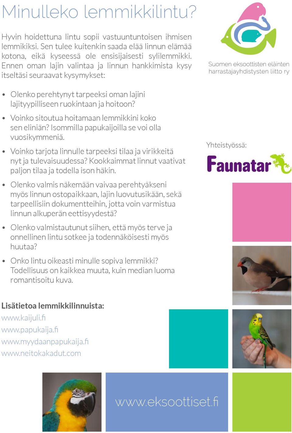 Voinko sitoutua hoitamaan lemmikkini koko sen eliniän? Isommilla papukaijoilla se voi olla vuosikymmeniä. Voinko tarjota linnulle tarpeeksi tilaa ja virikkeitä nyt ja tulevaisuudessa?
