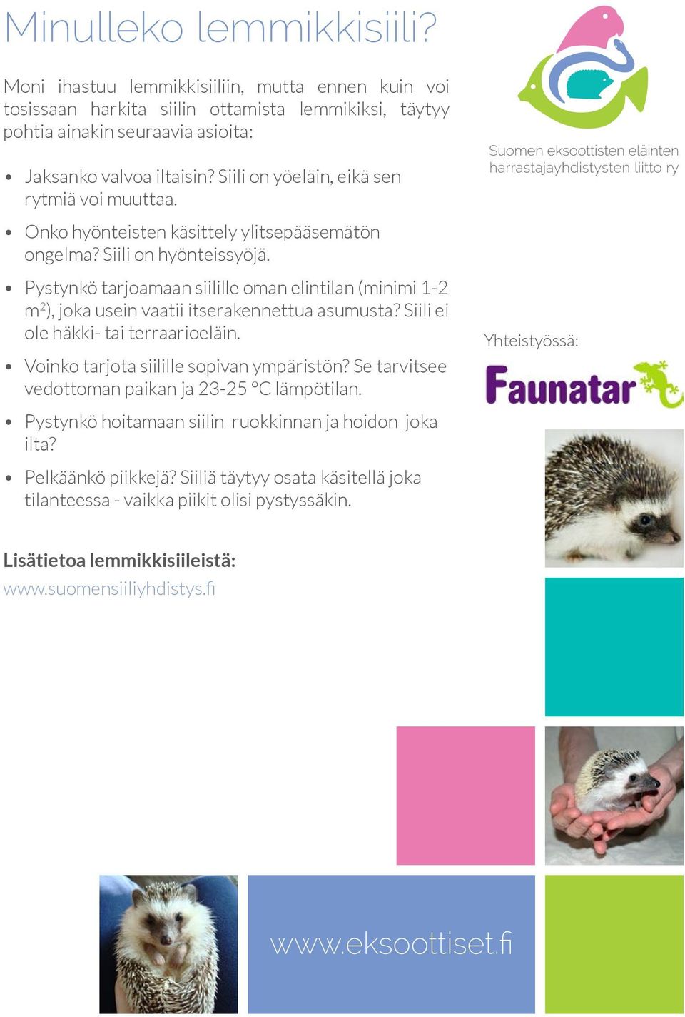 Pystynkö tarjoamaan siilille oman elintilan (minimi 1-2 m 2 ), joka usein vaatii itserakennettua asumusta? Siili ei ole häkki- tai terraarioeläin. Voinko tarjota siilille sopivan ympäristön?